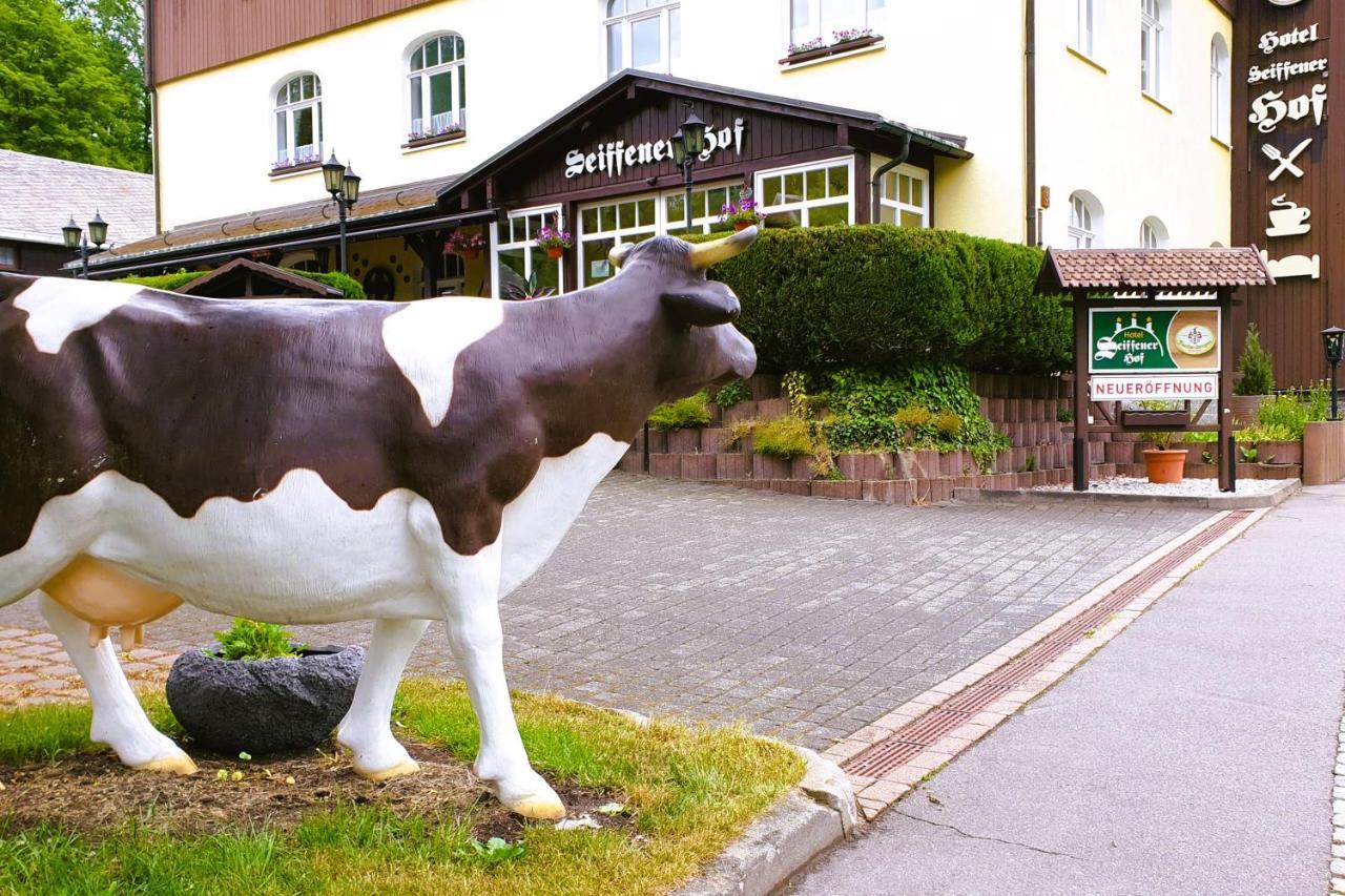 Hotel Seiffener Hof*** Exterior photo